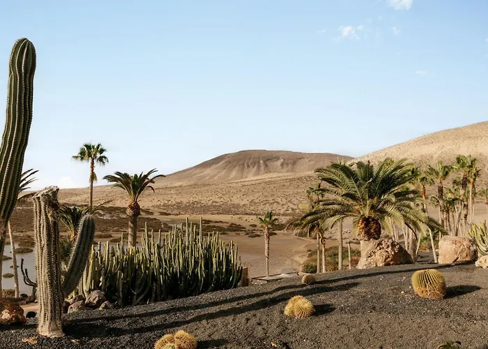 Paradisus By Melia Fuerteventura מלון