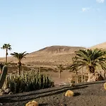 Meliá Fuerteventura Hotel Costa Calma