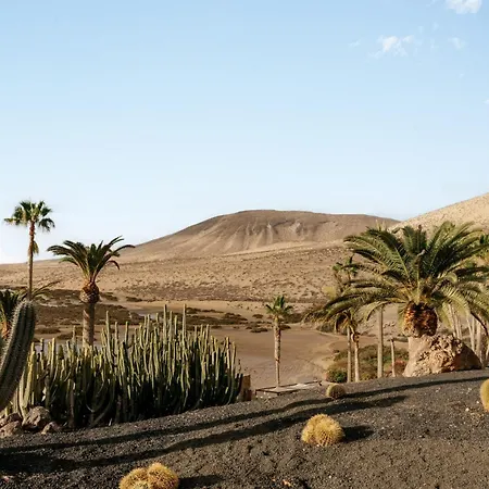 Paradisus By Melia Fuerteventura