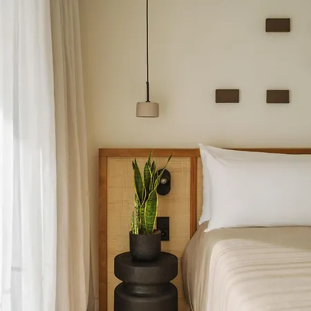 Paradisus By Melia Fuerteventura 酒店