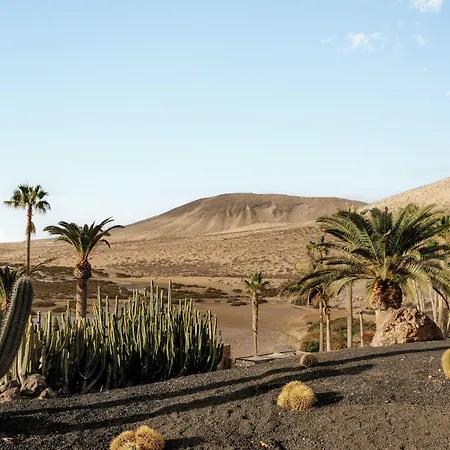 Paradisus By Melia Fuerteventura Hotel
