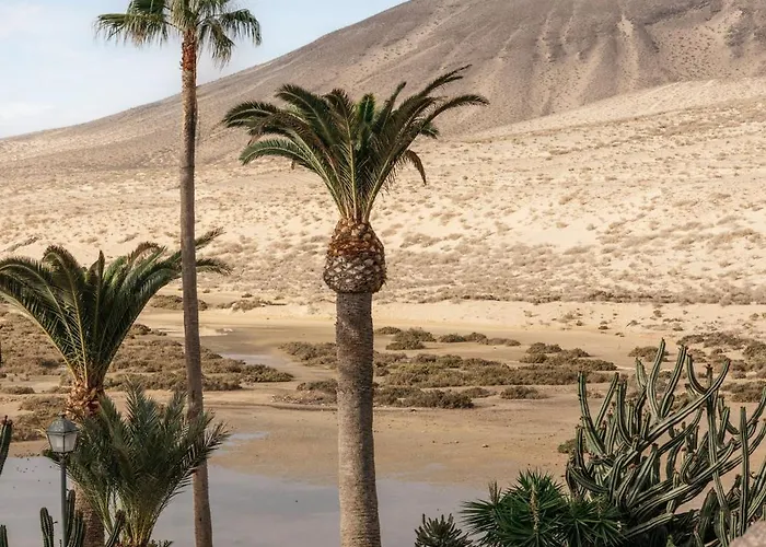 Meliá Fuerteventura 5*