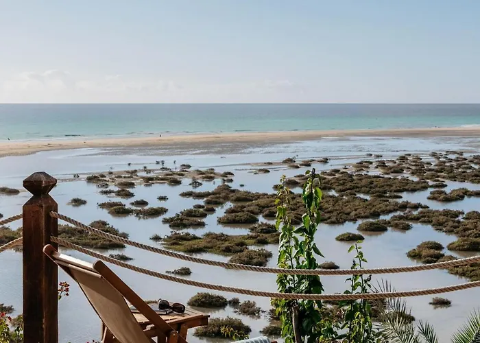 Hotel Meliá Fuerteventura 5*